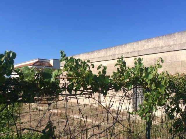  - laterza servizi immobiliari